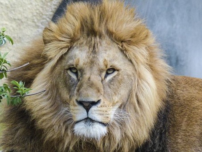 Spořka Českem 2023 - Pomáháme v ZOO Ústí nad Labem